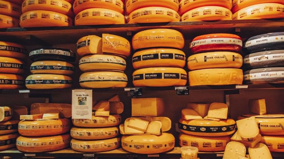 A shelf of cheese in a cheesery near Falkensteiner Hotels