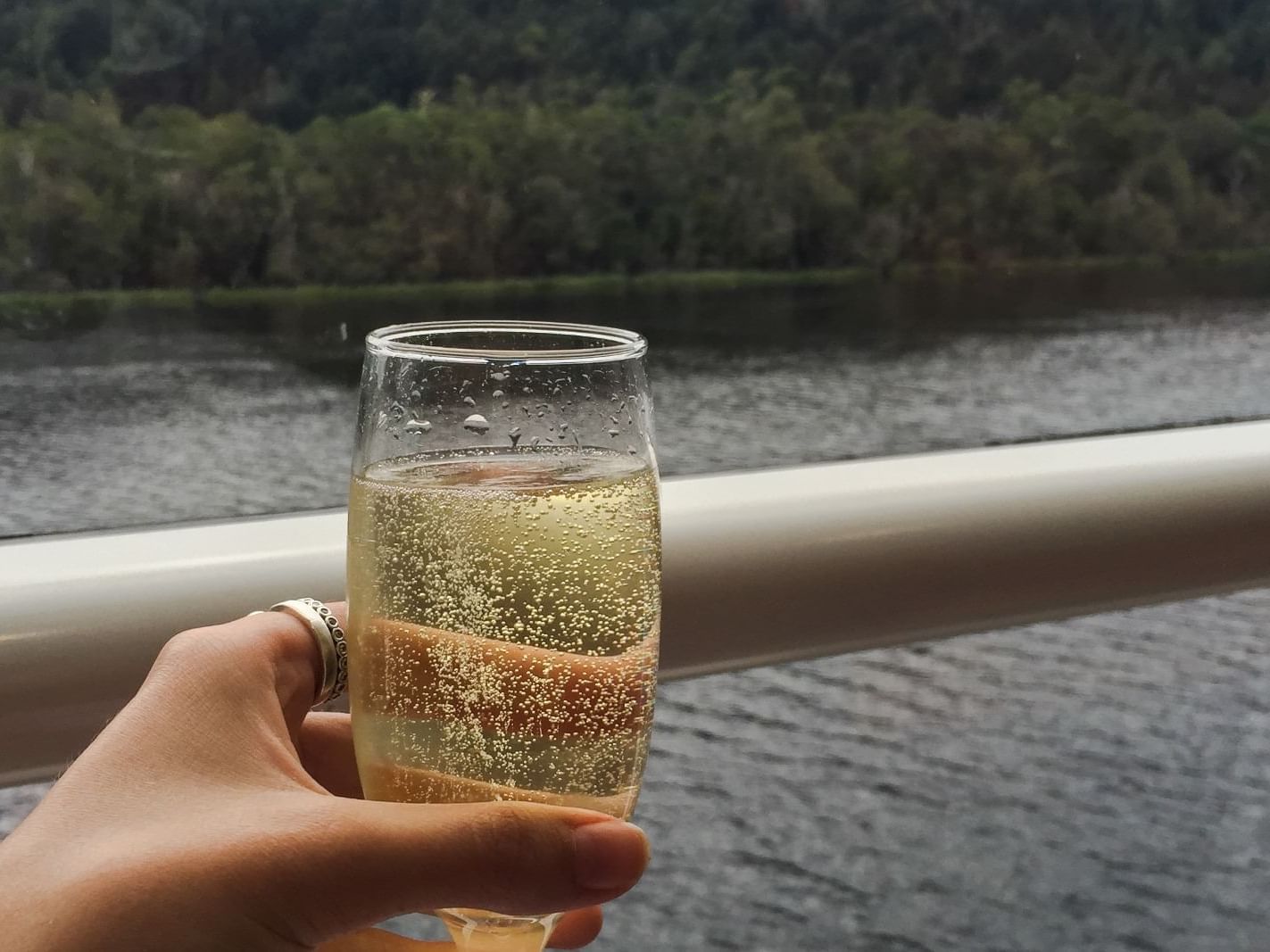 A Lady holding a glass of champagne at Gordon River Cruise