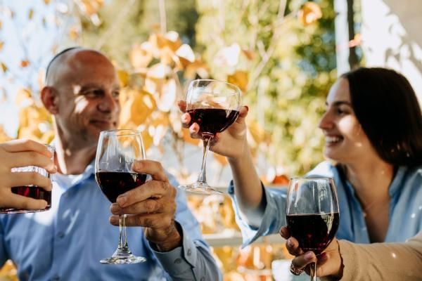 Family cheersing during their Sunday Lunch meal