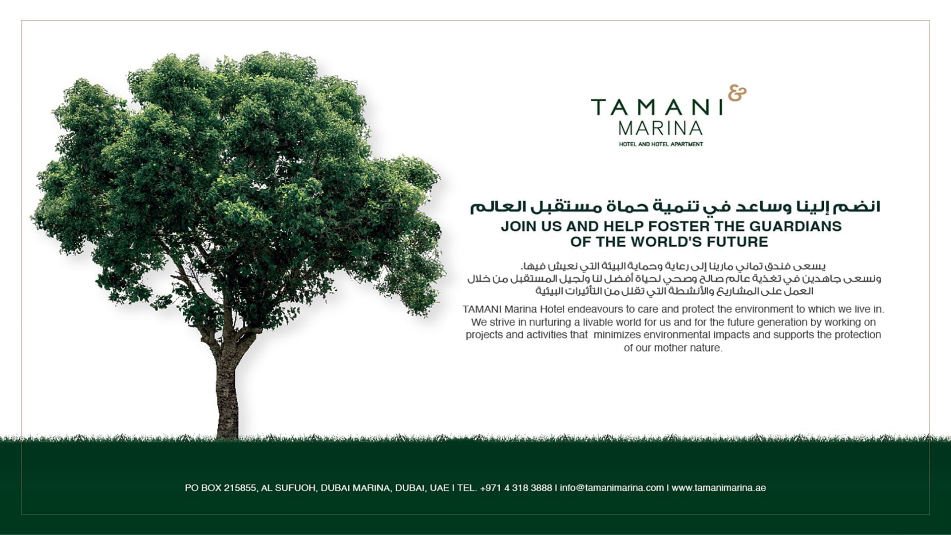 Tamani Marina environmental message flyer with a large tree illustration