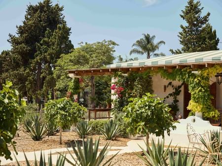 Jardín soleado con pérgola de madera, plantas de agave y vegetación exuberante bajo cielo azul despejado.