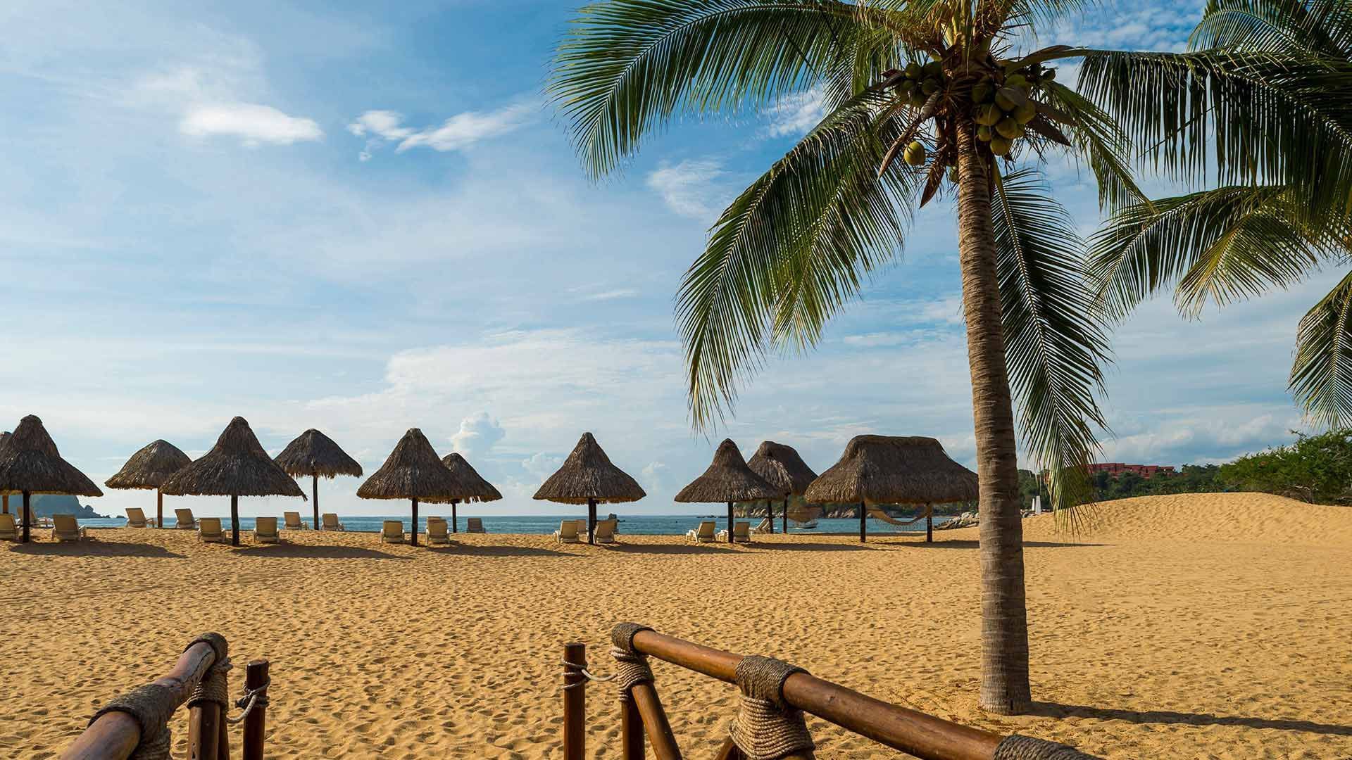 Excelente servicio, supero nuestras expectativas.
 by  