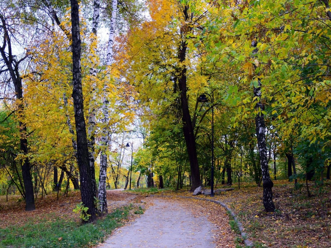 Leaves fallen on the walkway of Tangamanga park near Fiesta Inn