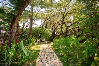Stone pathway through a garden with trees and greenery at Barefoot Cay Resort & Marina