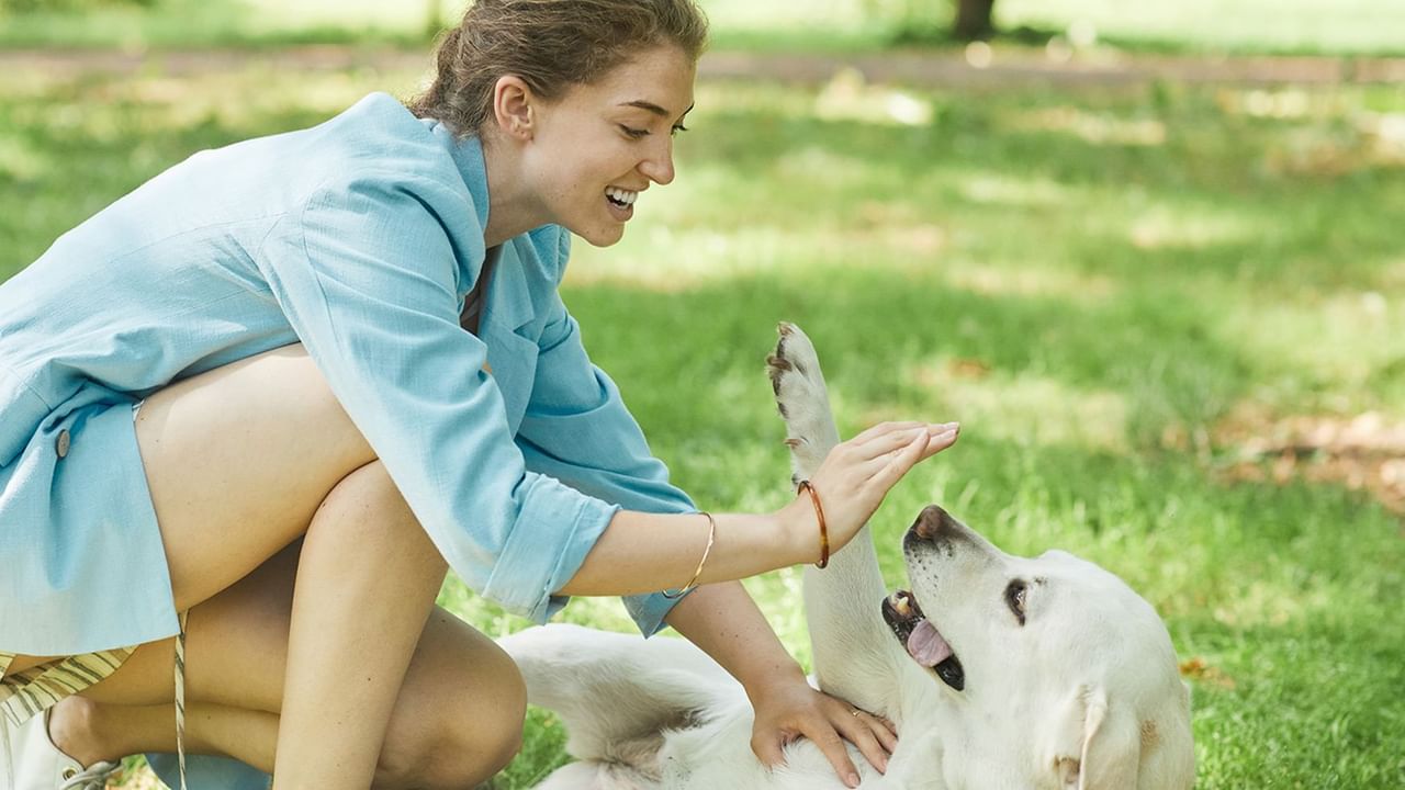 girl playing with dog lying down