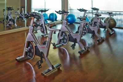 a row of stationary bikes in a gym