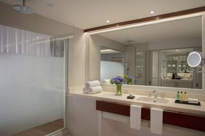 Intérieur de la salle de bains avec meuble-lavabo et douche dans la chambre King à Saint Martin Beach Resort & Spa
