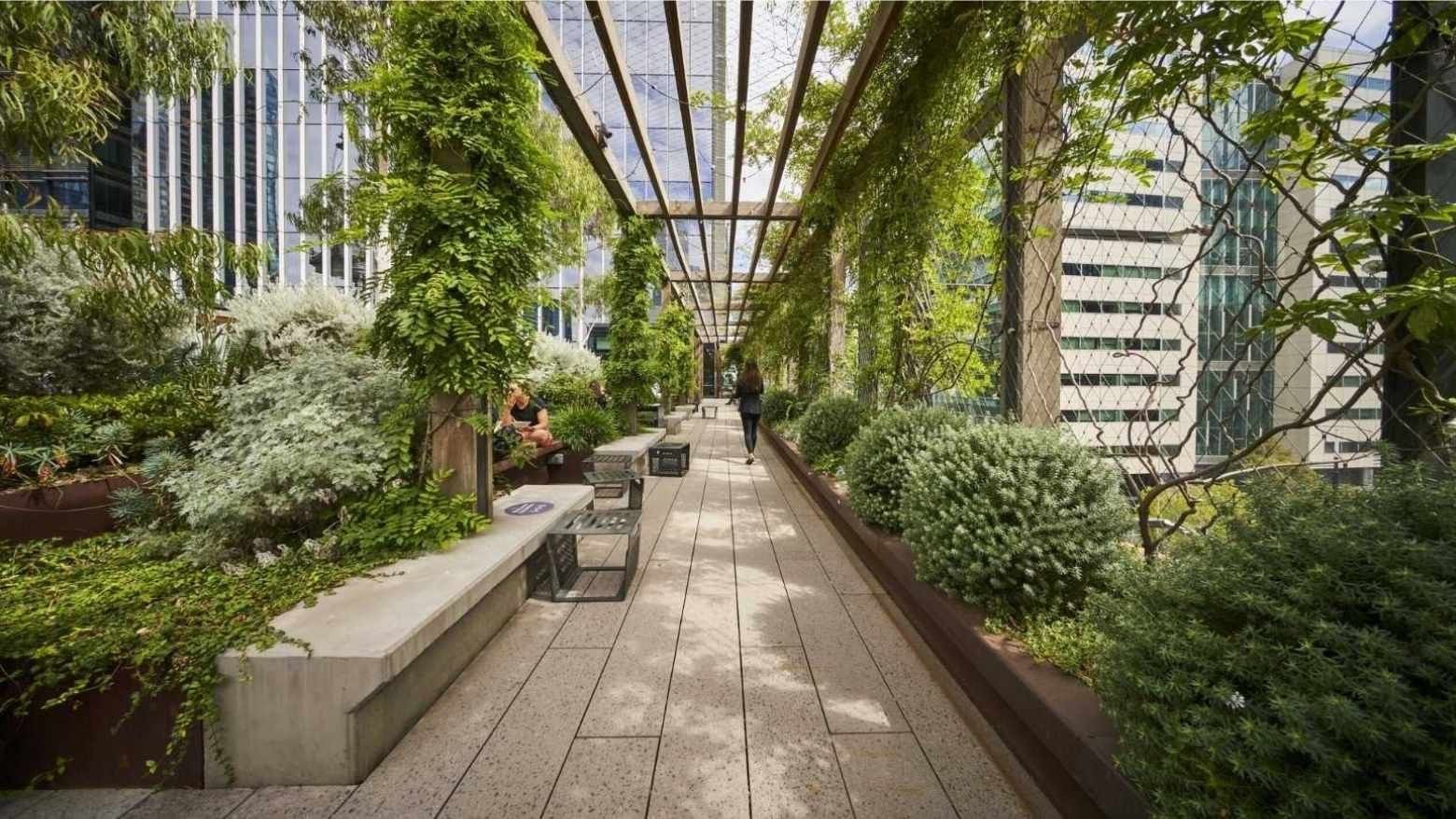 Urban garden with benches under a vine-covered pergola at West Tower Melbourne Quarter.