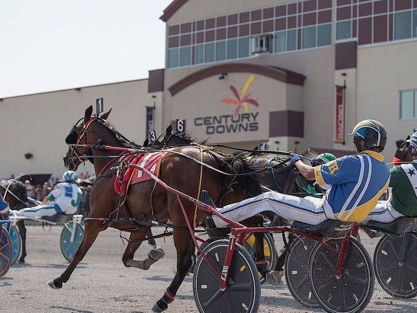 Century Downs Racetrack And Casino Acclaim Hotel Calgary