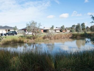 Pond surrounded by grass and trees near houses at La Trobe University Regional Housing – Shepparton.