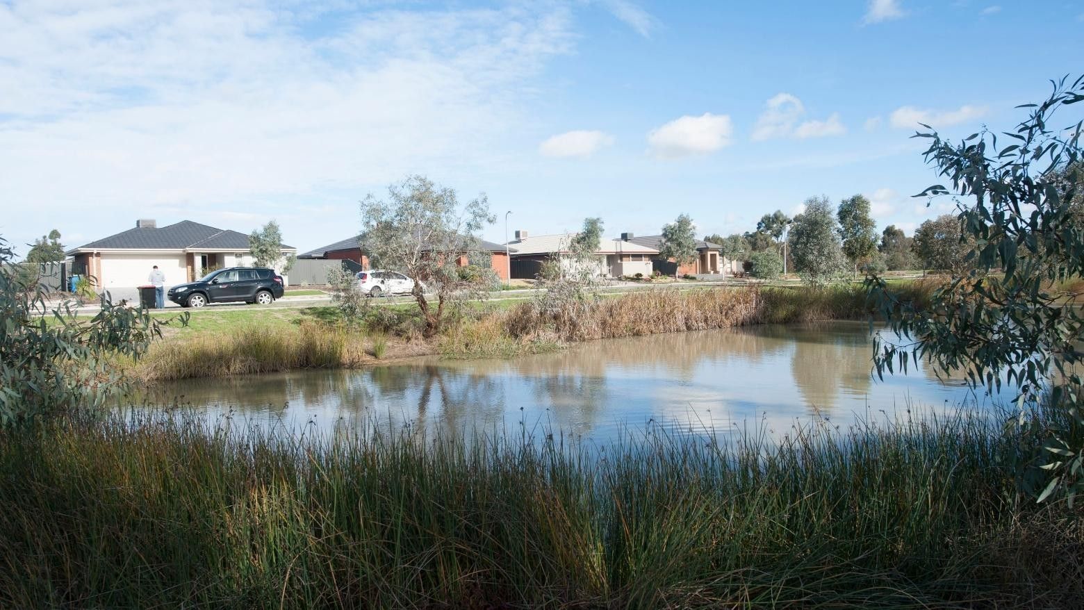 Pond surrounded by grass and trees near houses at La Trobe University Regional Housing – Shepparton.