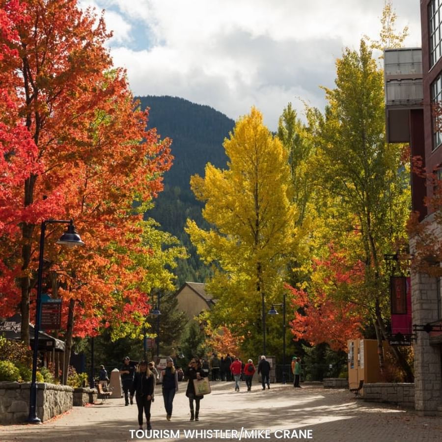 People walking down a street surrounded by autumn trees near Blackcomb Springs Suites