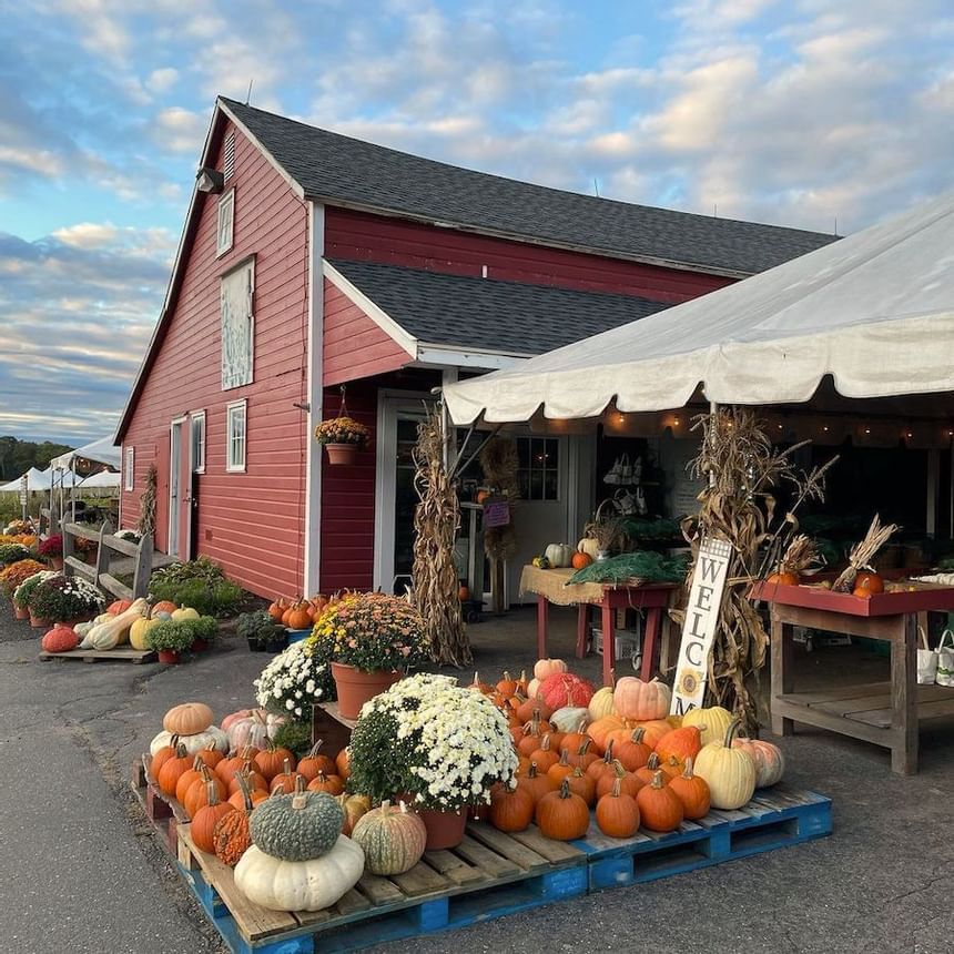 fall farms to visit in ct