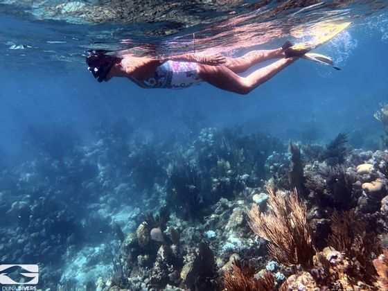 
Una señora buceando en el mar en Ibagari Boutique Hotel