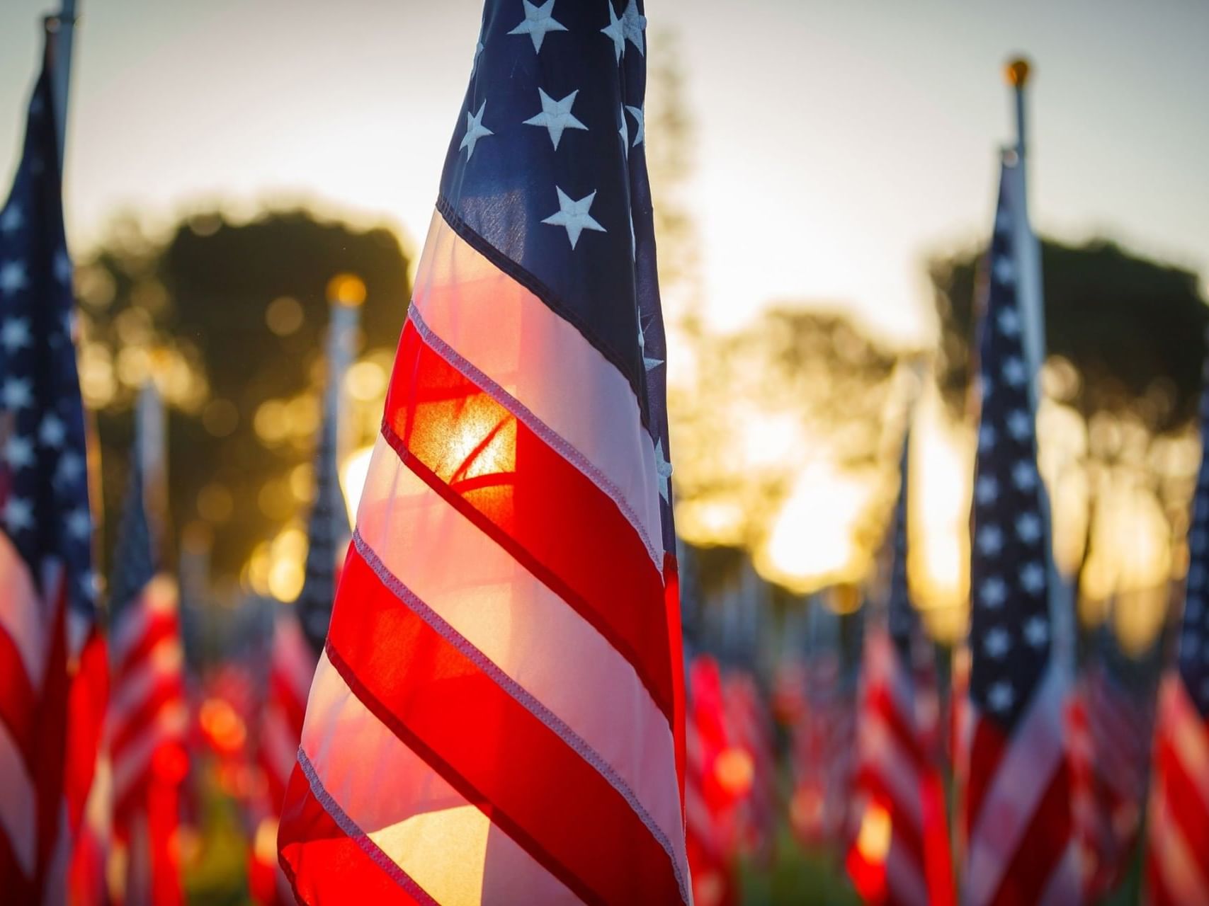 American flags neatly arranged in a field at Boothill Inn & Suites