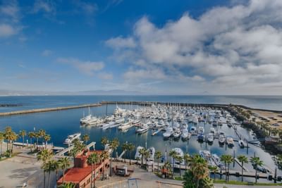 Boats stationed by the Marina near Hotel Coral y Marina