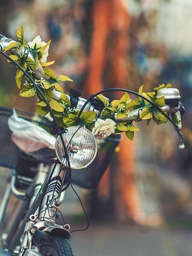 Bike with flowers around handle bars