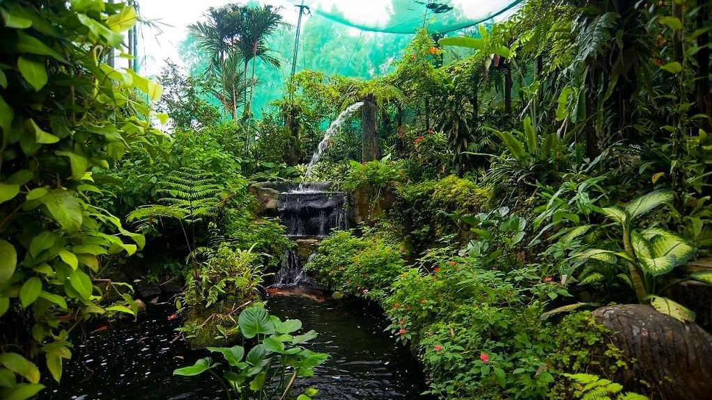 A Butterfly Park near Sunway Lagoon Hotel