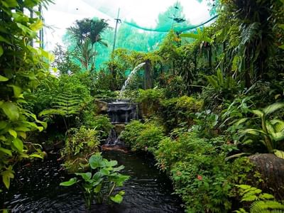 Attractions close to Sunway Clio Hotel