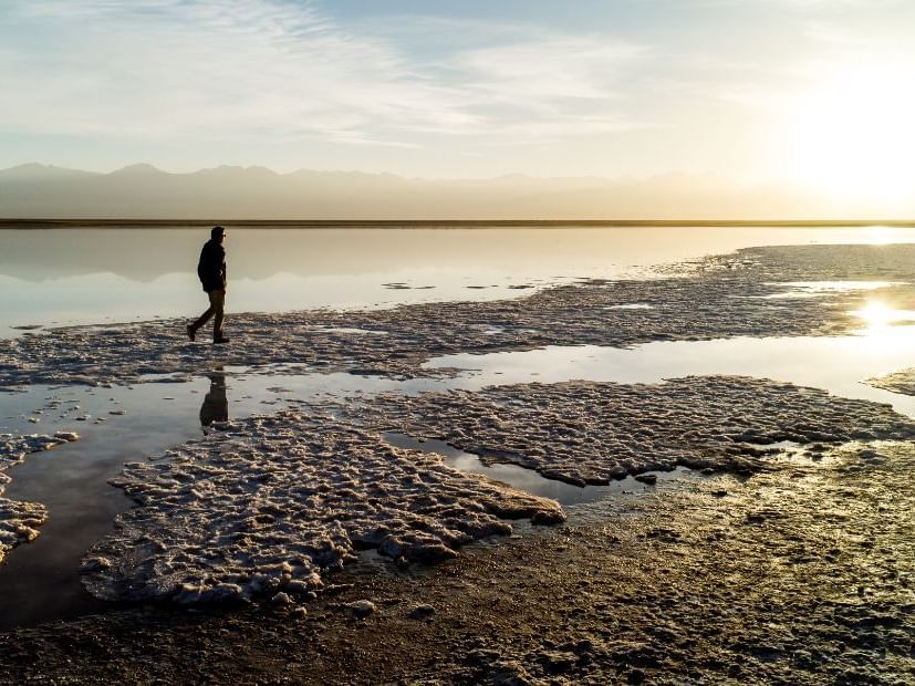 man walking in Cejar Lagoon near NOI Casa Atacama hotel
