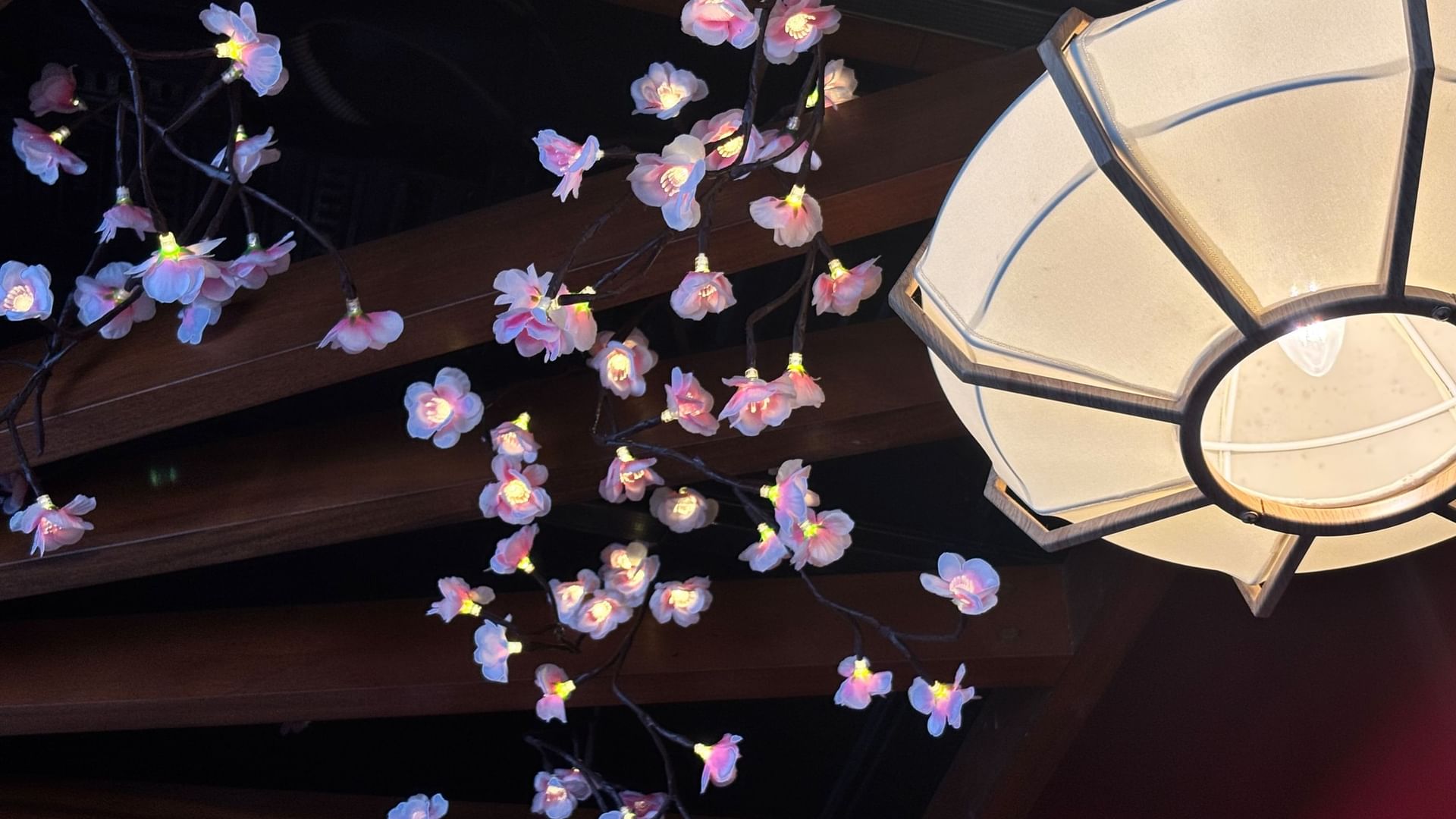 Pink cherry blossom light garlands and lantern hanging at Warwick Fiji Resort and Spa in Korolevu