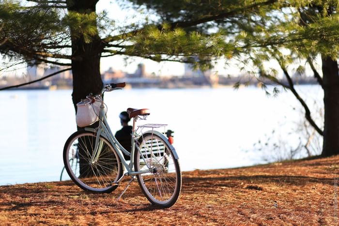 A bicycle parked by a river near ReStays Ottawa