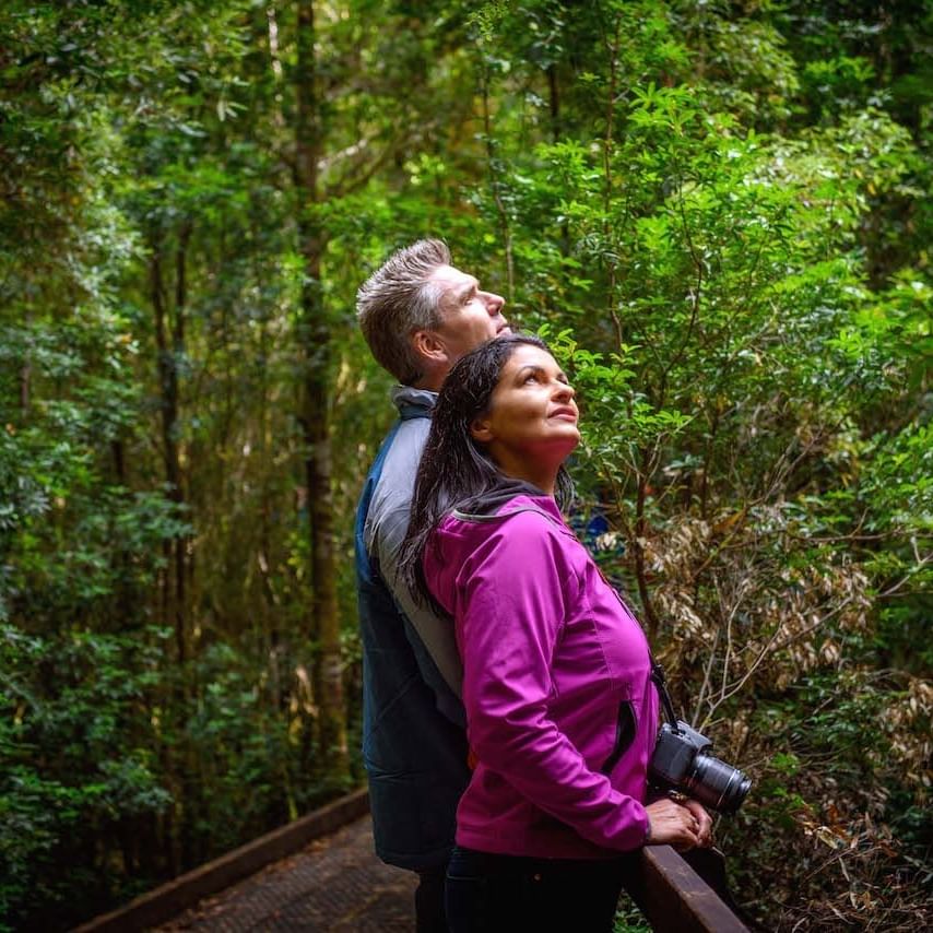 A Couple at the Rainforest near the Strahan Village 