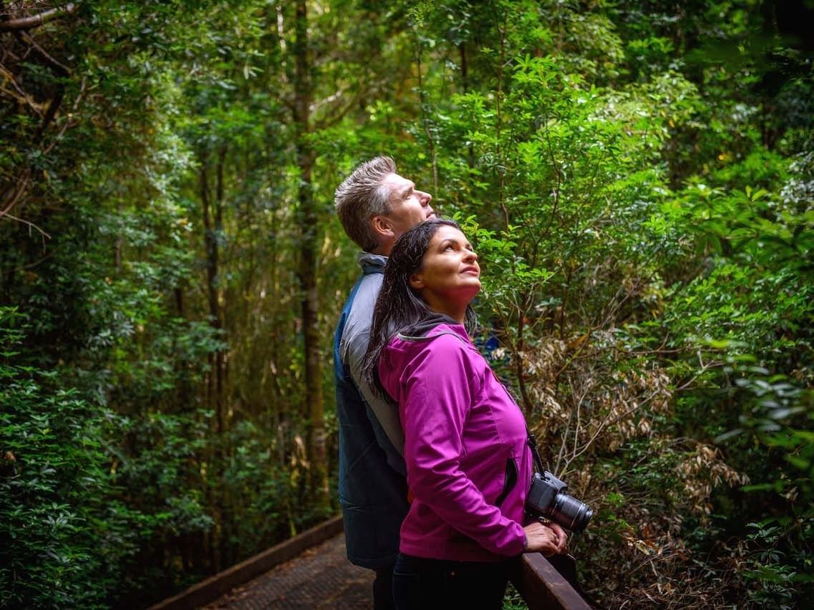 A Couple enjoying the view of the Rainforest near Strahan Village