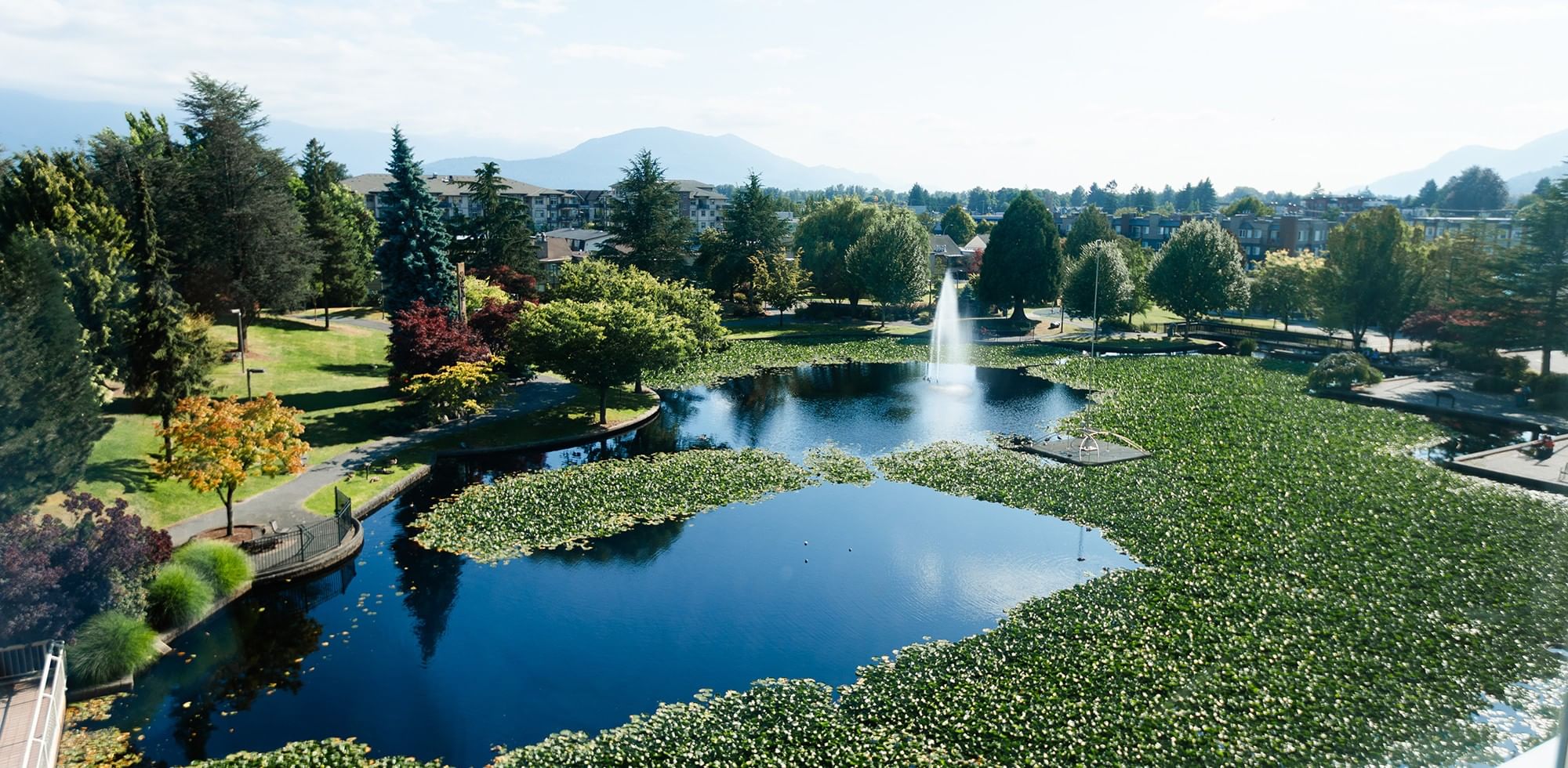 Aerial view of pond and fountain