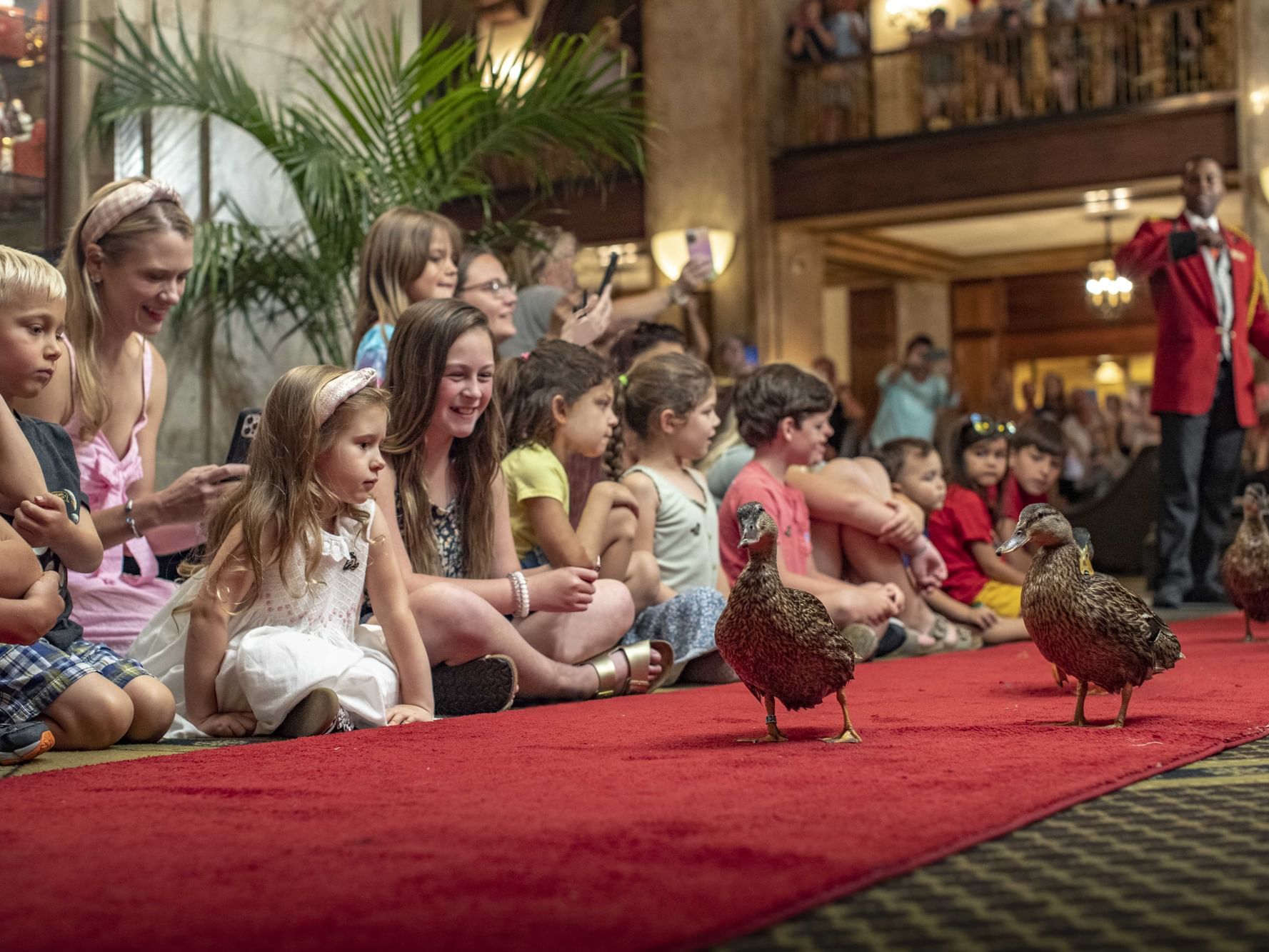 Duck Destiny: Meet Kenon Walker, the Peabody Hotel’s Duckmaster