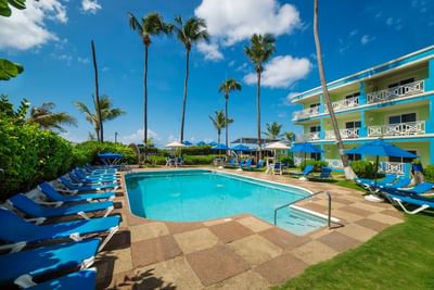 Sunbeds & palm trees by the outdoor pool area at Dover Beach Hotel