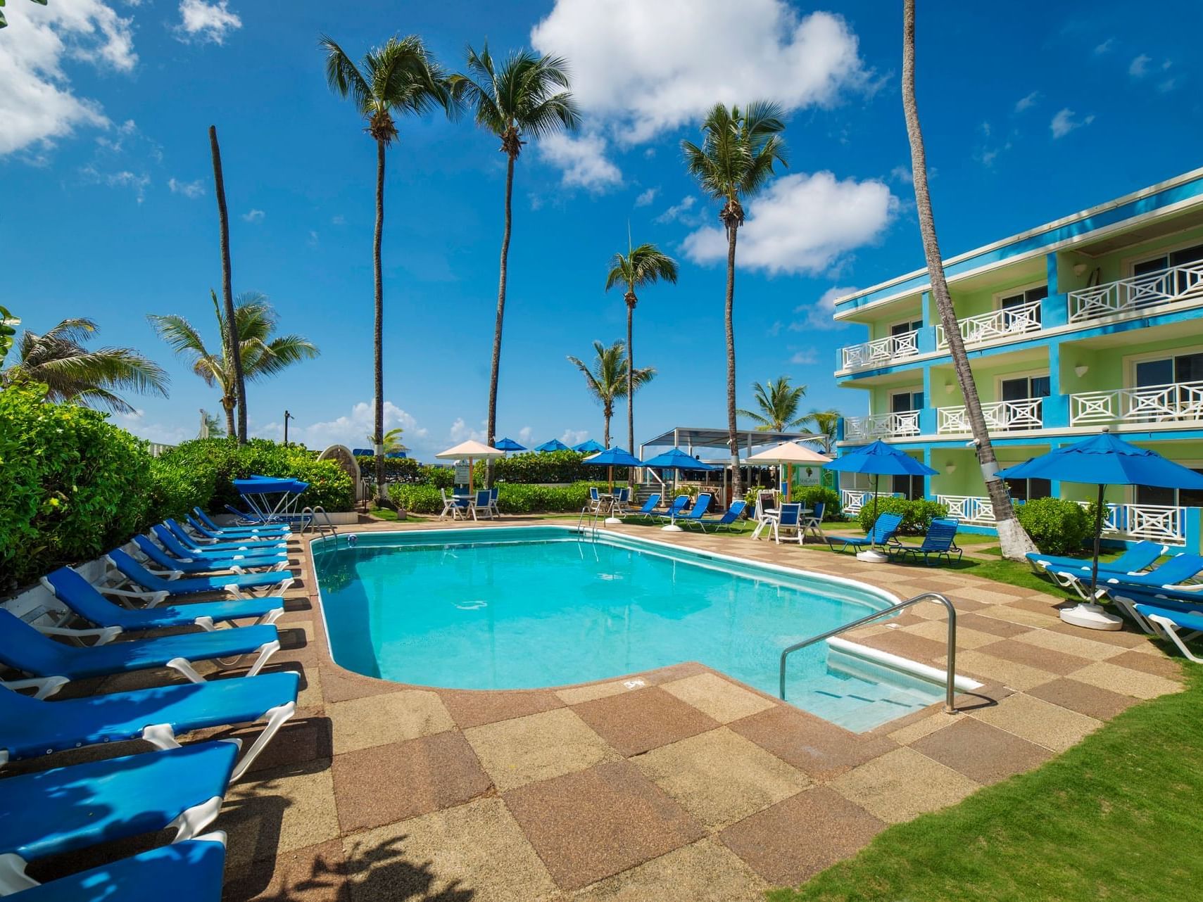 Sunbeds & palm trees by the outdoor pool area at Dover Beach Hotel