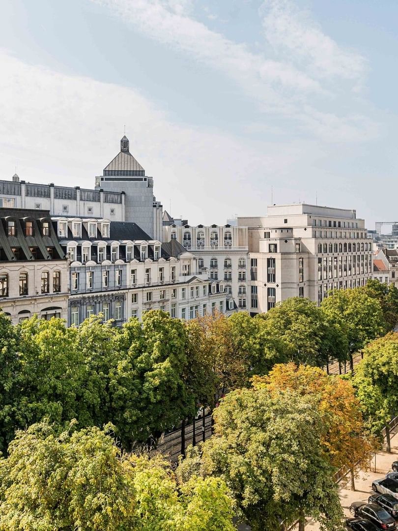 Tree-lined boulevard with historic buildings and domed architecture under a bright blue sky in Brussels.