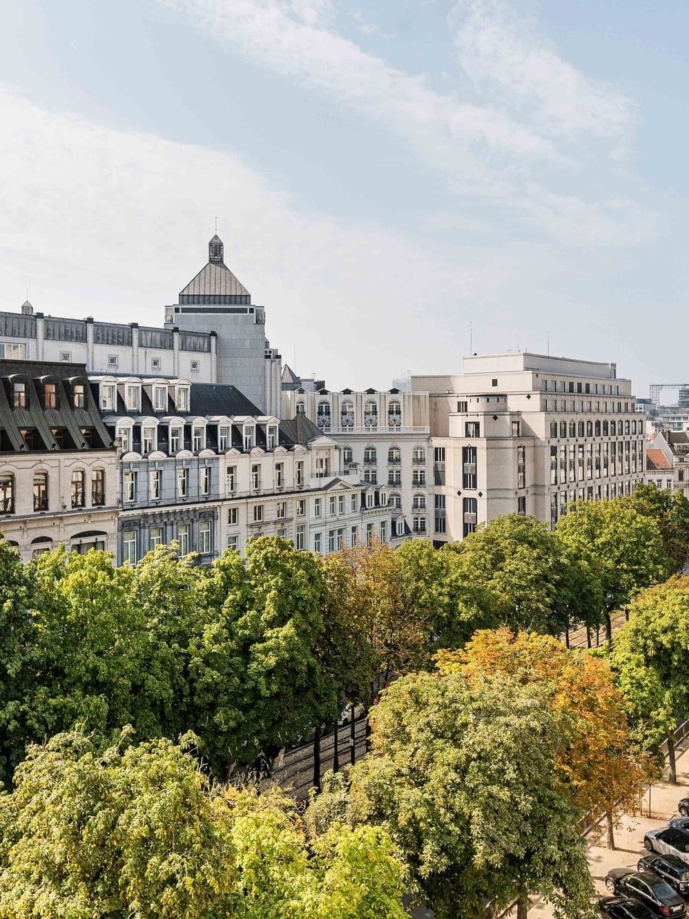 Panoramisch uitzicht over een met bomen omzoomde laan en historische gebouwen in het stadscentrum van Brussel