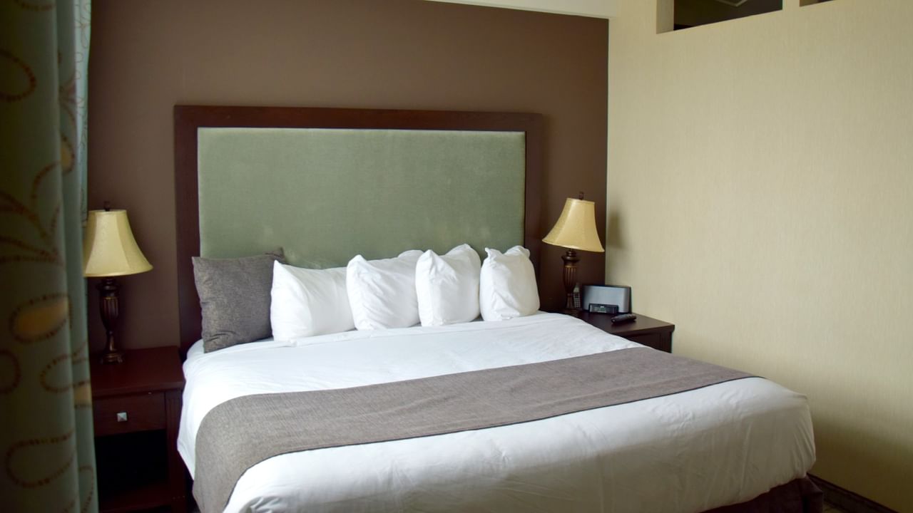 A hotel room with a large bed, white sheets, multiple pillows, and two nightstands with lamps.