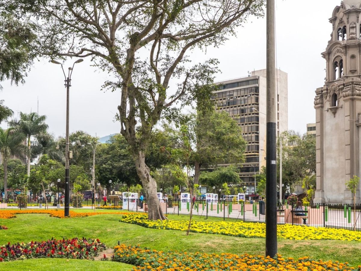 Parque Kennedy cerca de Suites Larco 656