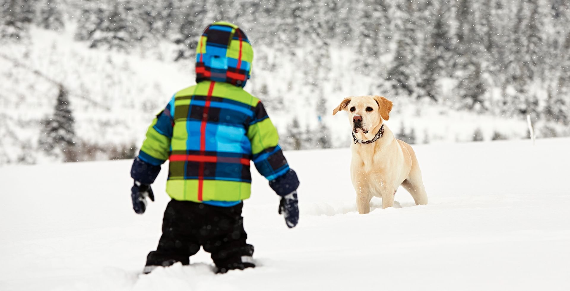 The Ultimate Winter Vacation Bucket List Winter Vacation Ideas