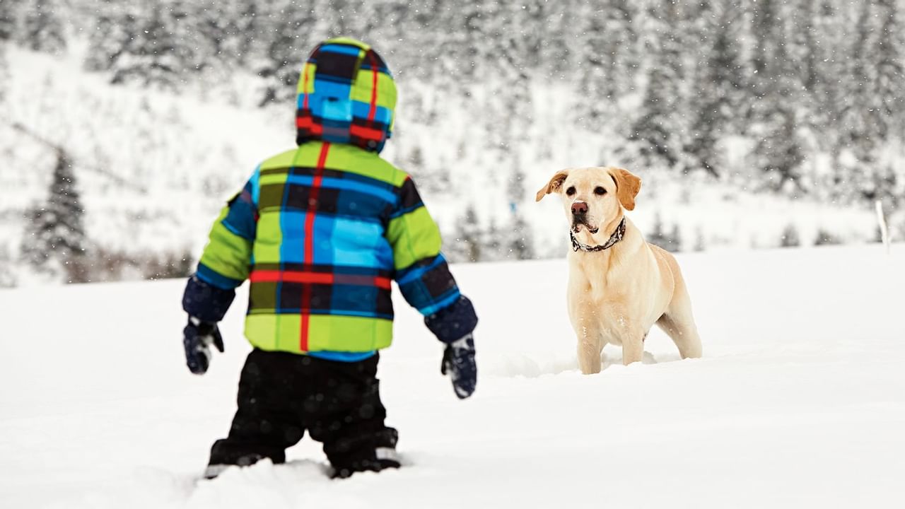 kid in multi-coloured snow suite looking at a dog