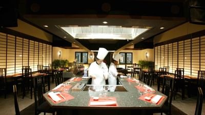 Dining at Hôtel du Pasino in Saint-Amand-Les-Eaux, France