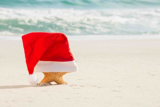 Close-up of a starfish decor wearing a Christmas hat by the beach at The Danna Langkawi