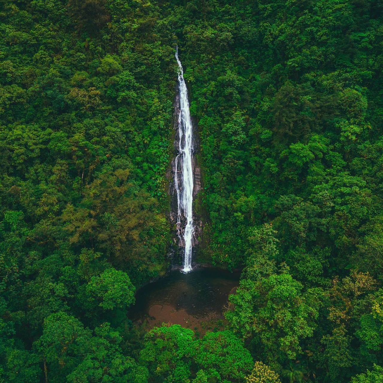 Aerial view of a tall waterfall amid lush green forest near El Silencio Lodge and Spa