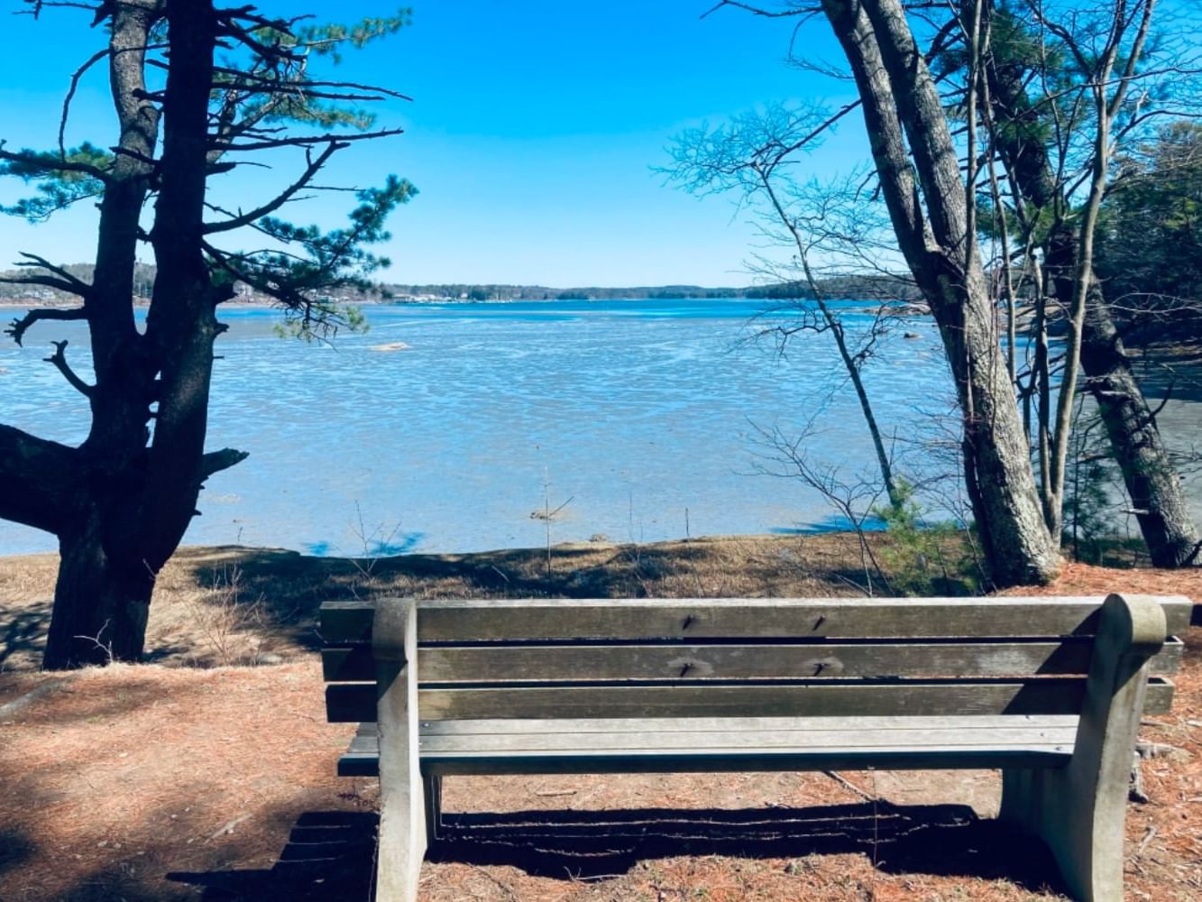 Bench with a stunning waterfront view in Winslow Park near Ogunquit Collection