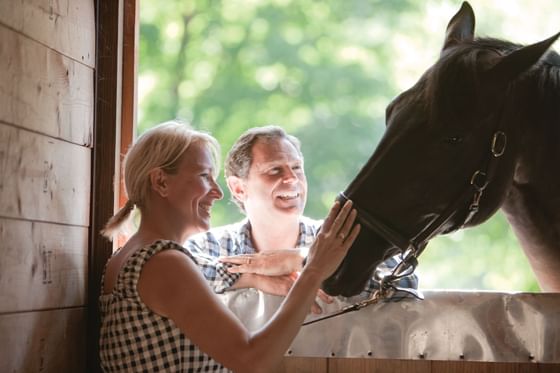 Happy couple petting a horse. The horse looks happy too.