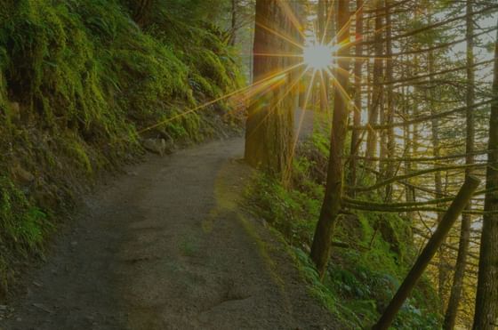A pathway in a mountain near The Lodge at Schroon Lake