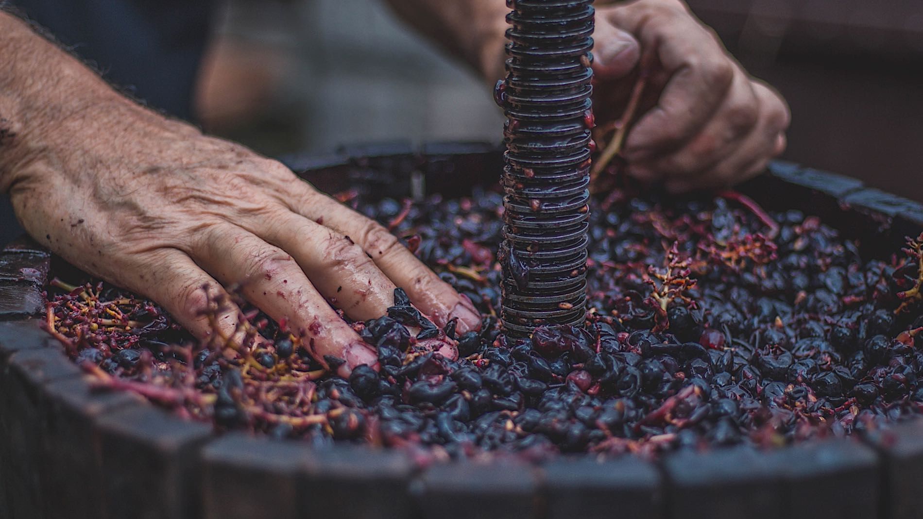A man crushing berries to make wine near The Originals Hotels