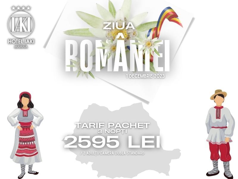 Ziua Romaniei 23