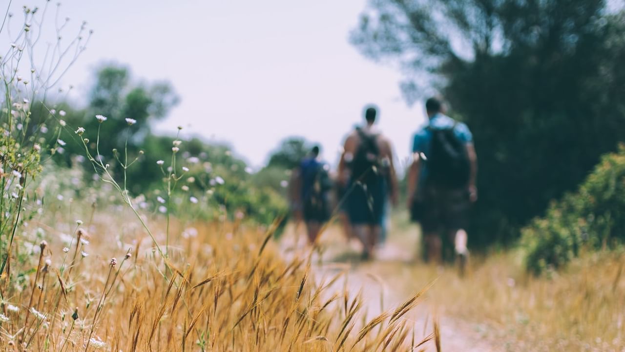 People hiking on a trail