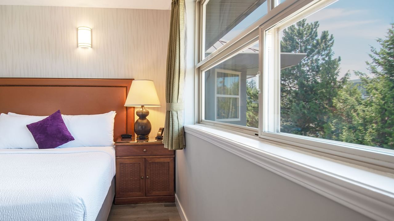 Hotel suite with queen bed