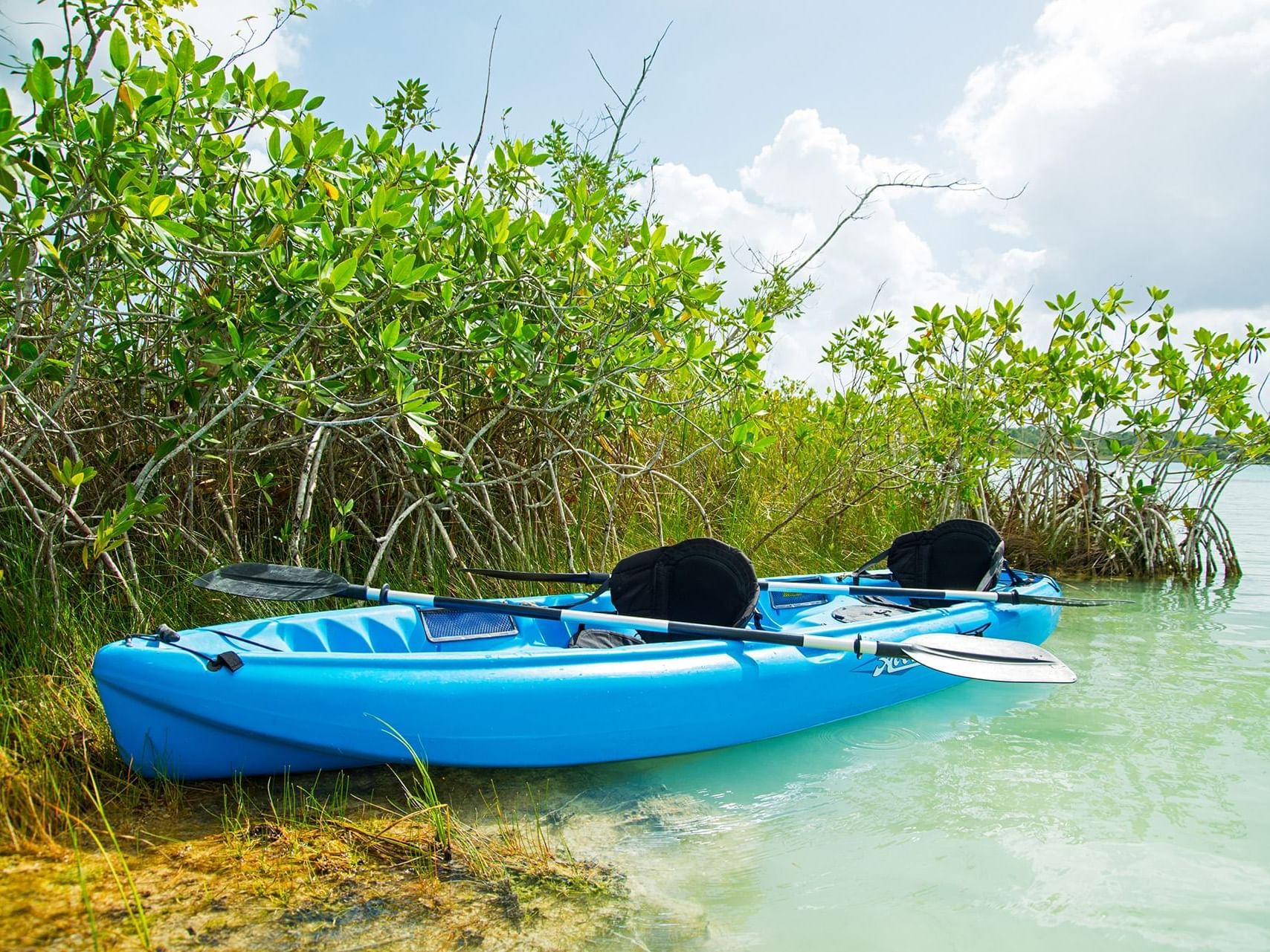  Kayak boat near plants on the river at Live Aqua resort 
