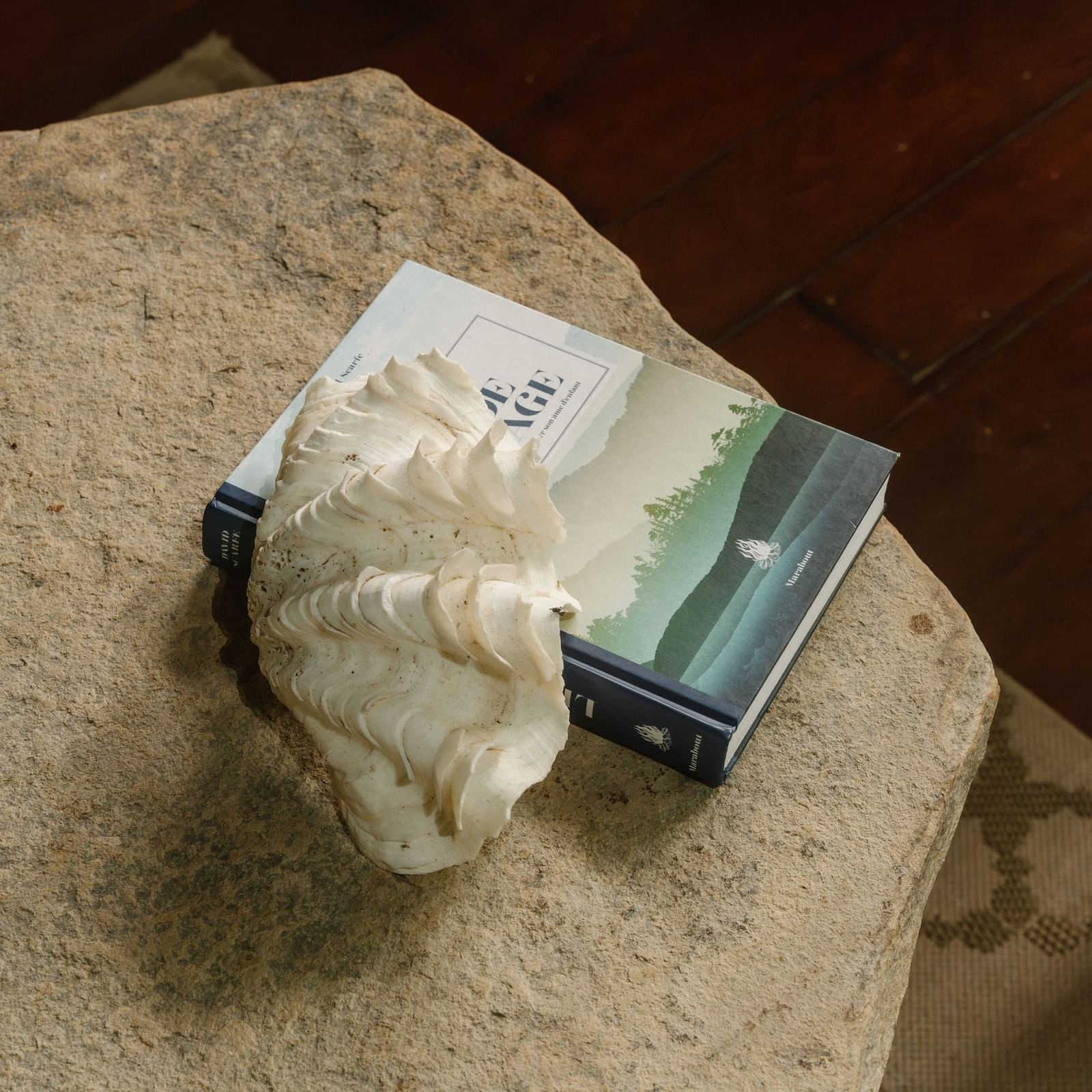 Large white seashell by a hardcover book on a stone table under soft light near Morgan's Rock Reserve & Ecolodge